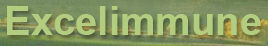 Excelimmune