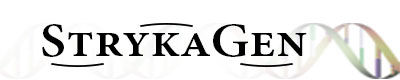 Strykagen