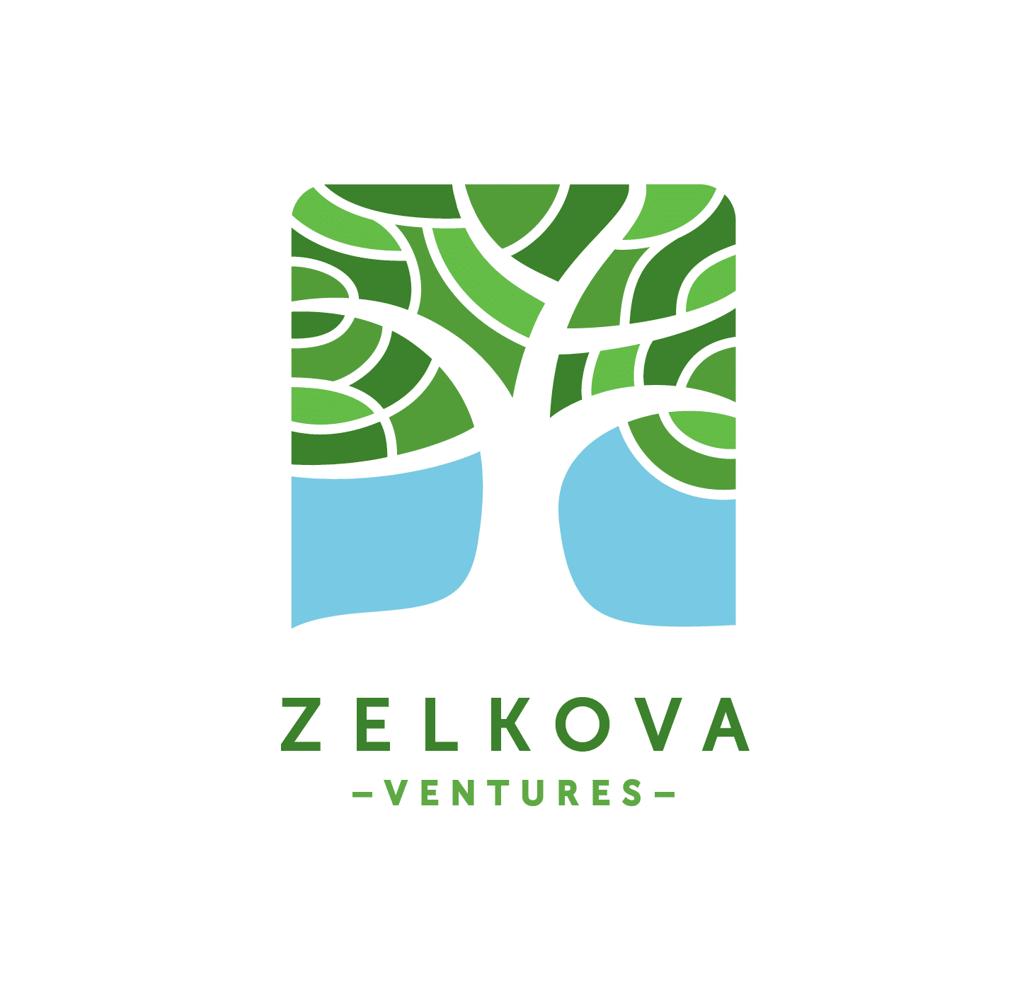 Zelkova Ventures