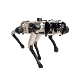 Ghost Robotics