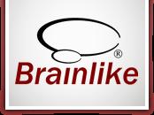Brainlike