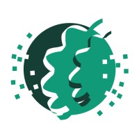 Mobilion Systems