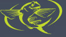 Flying Fish Creative Services