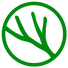 Pine Venture Partners