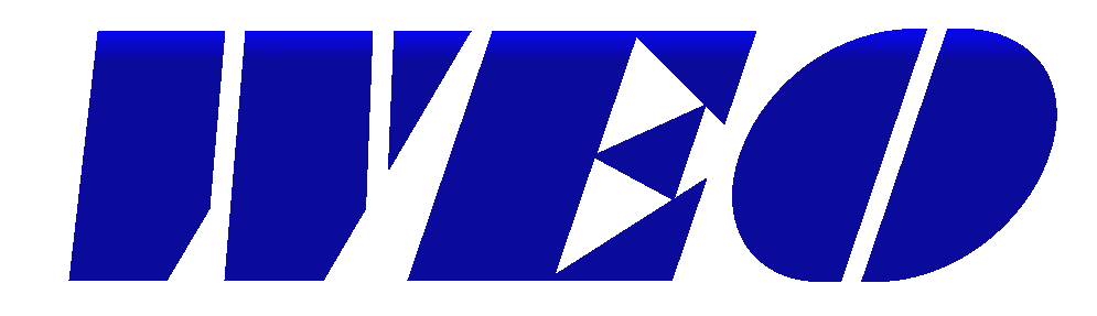 Wang Electro-Opto
