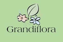 Grandiflora