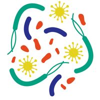 Siolta Therapeutics