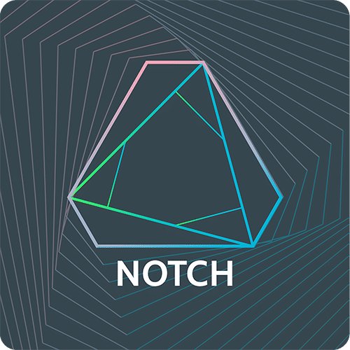 Notch