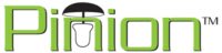 Pinion Pins