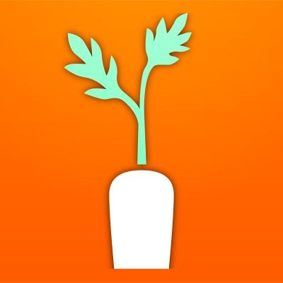 Carrot