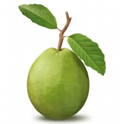 Goyaka