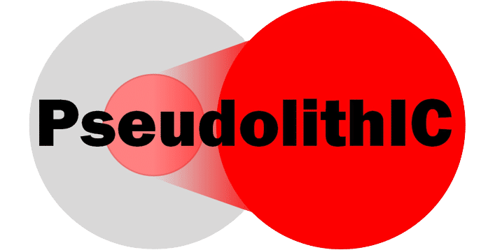 Pseudolithic