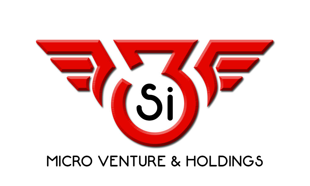 3Si Microventure & Holdings