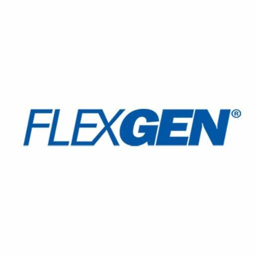 FlexGen Power Systems