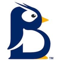 BluePenguin Payments logo