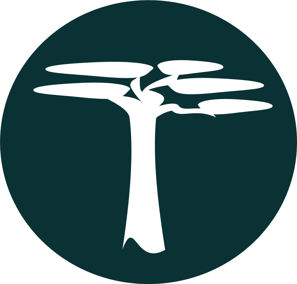 Mbuyu Capital Partners