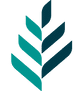 Sage Health