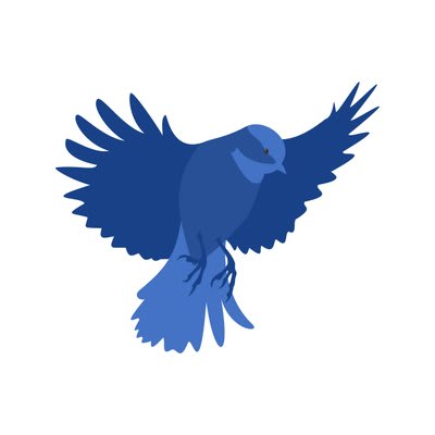 Passerine Aircraft