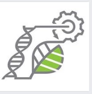 Ag Startup Engine