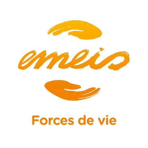 emeis logo