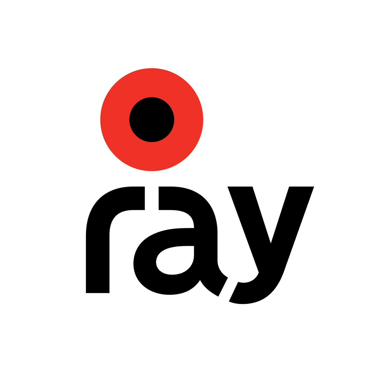 RayIoT Solutions