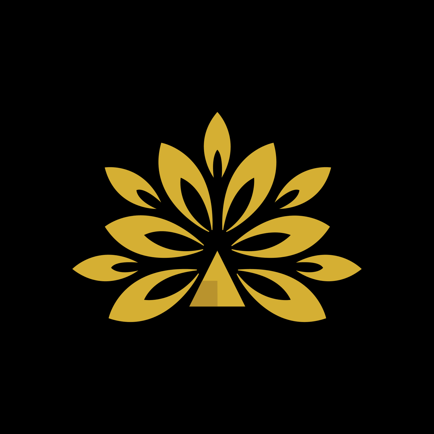 Artha India Ventures