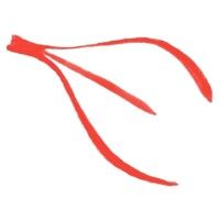 TriFlo Cardiovascular