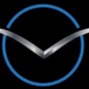 Silver Falcon Capital