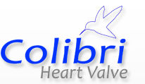 Colibri Heart Valve