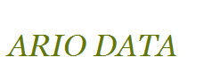 Ario Data Networks