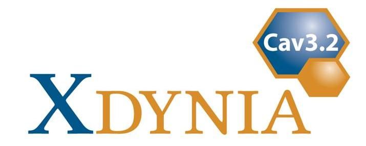 Xdynia