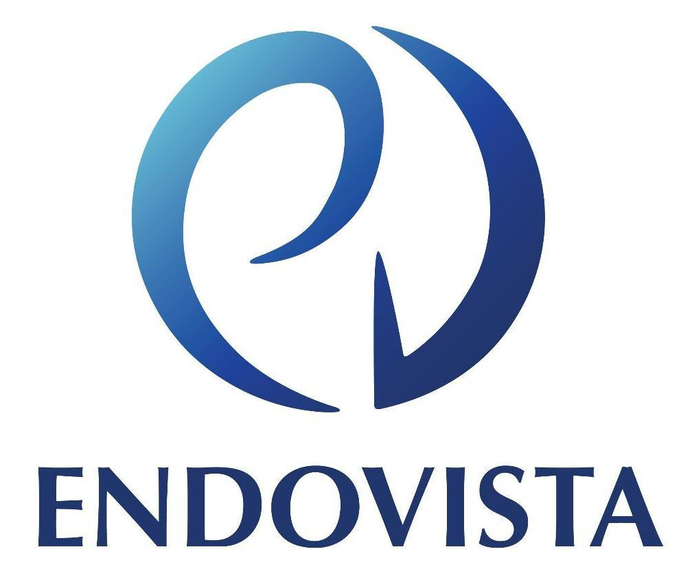 Endovista
