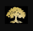 Avalon Holdings