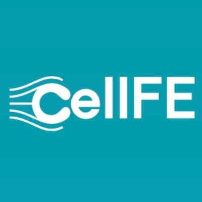 CellFE