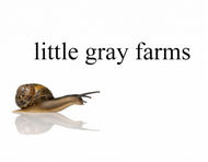 Little Gray Farms