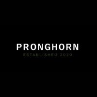 Pronghorn