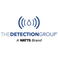 The Detection Group