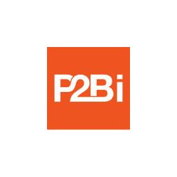P2Binvestor