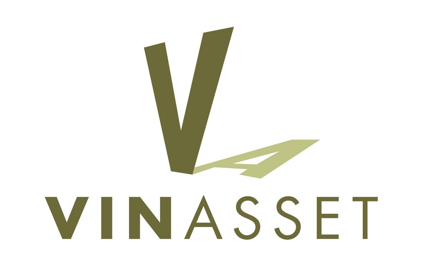 VinAsset