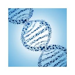 InnoGenomics Technologies
