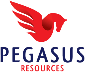 Pegasus Resources