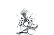 Forthill Farm