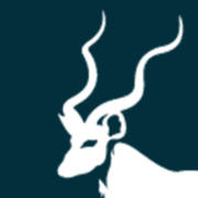 Kudu Investment Management logo