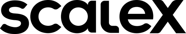 ScaleX Ventures