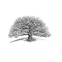 Broad Oak Group International