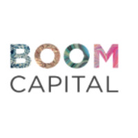 Boom Capital. logo