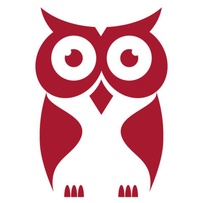 CyberOwl