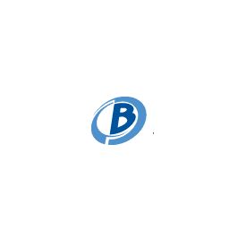Blue Chip Surgical Center Partners