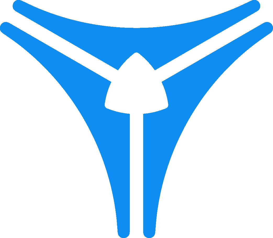 Vision Aerial