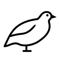 Quail Technologies